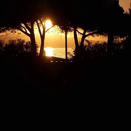 U Liamone Hotel Saint-Florent (Corsica)